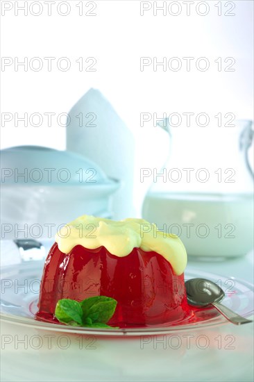 Red jelly with vanilla sauce
