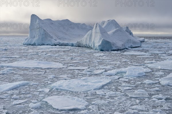 Iceberg floating in pack ice