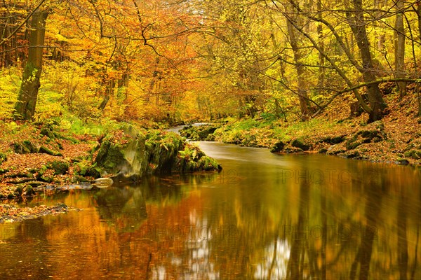 Schwarza River in the autumn