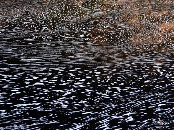 Typical foam structures on a blackwater river