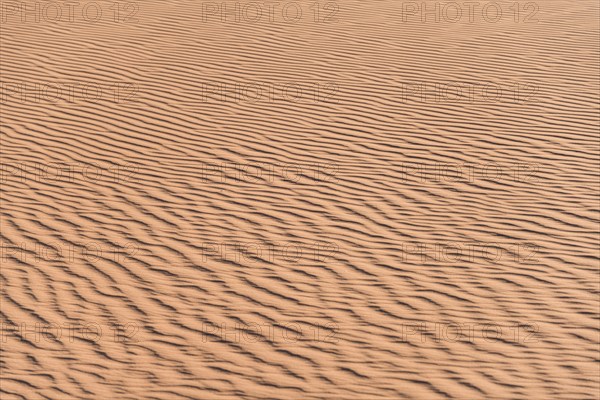 Wave pattern in the sand