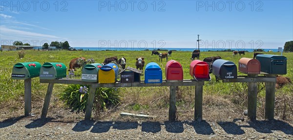 Several mailboxes at a cow pasture