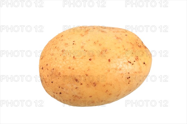 Potato