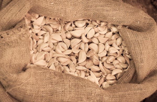 Garlic (Allium sativum) in a jute bag