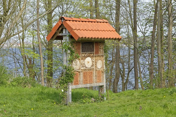 Insect hotel