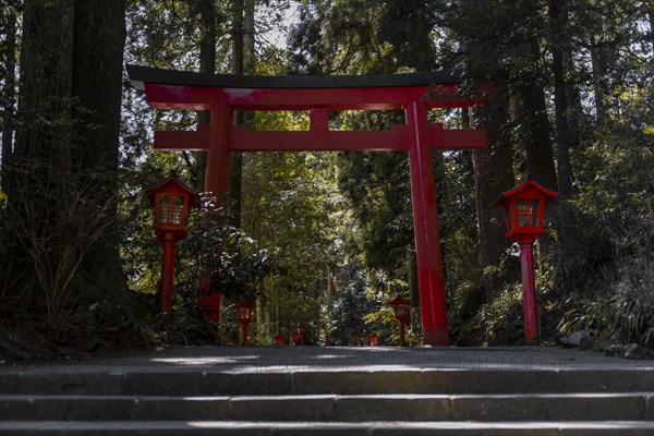 Torii Gate