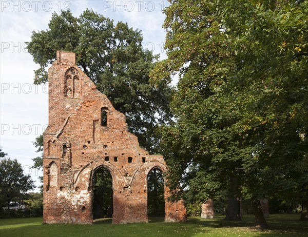 Ruins of the Eldena Monastery