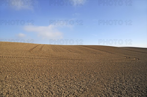 Large field ready for sowing