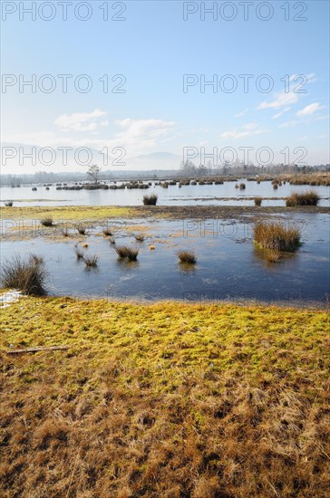 Ice-covered water surface of a renatured peat-mining area