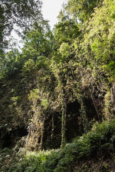 Barranco del Agua canyon