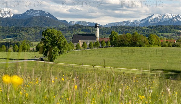 Flower meadow in front of pilgrimage church St. Marinus and Anian in Wilparting