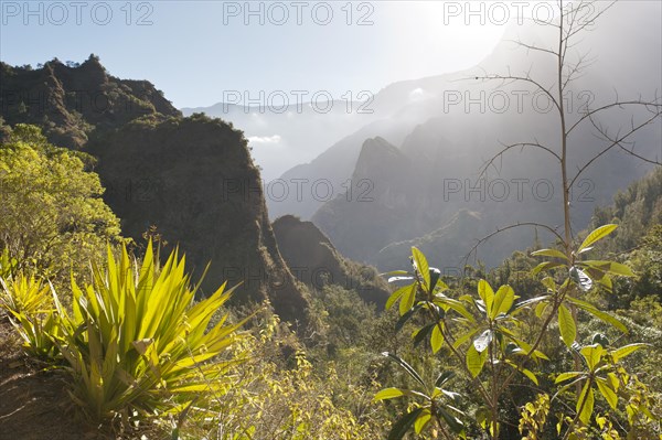 Mystical misty mountain landscape