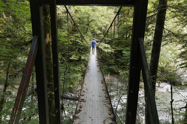Suspension bridge across the Subersbach creek