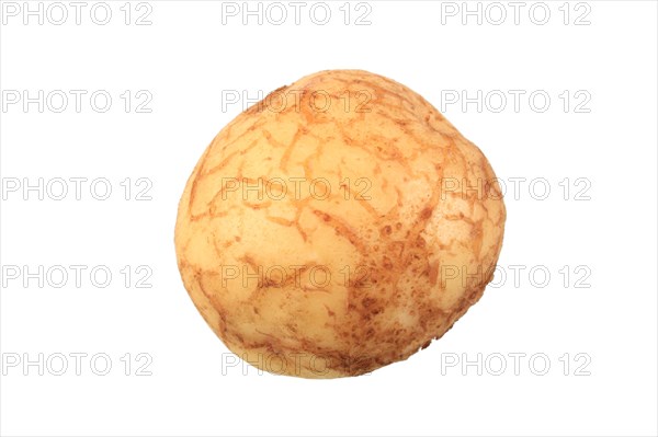 Potato