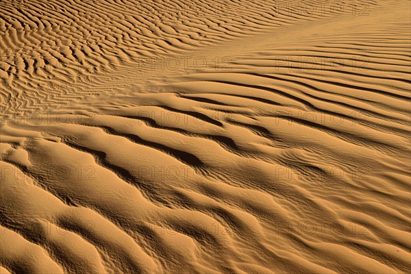 Sand ripples