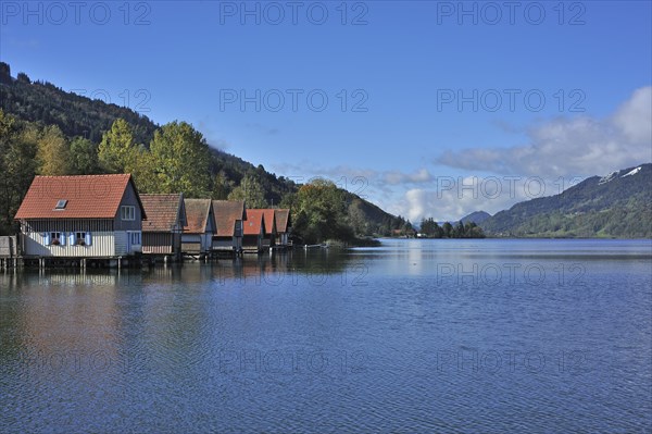Alpsee lake with boathouses