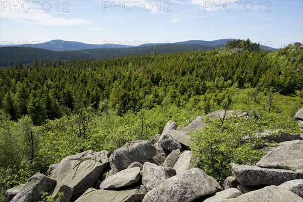 View from Hohnekamm saddle to Mt Wurmberg