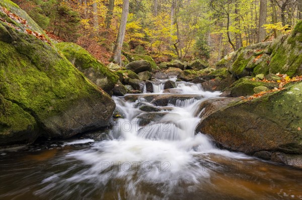 Mountain stream Ilse flows over rocks through autumnal forest