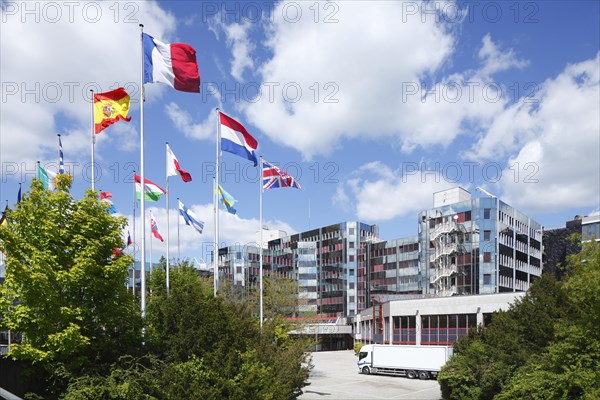 Waving international flags in front of the European Parliament