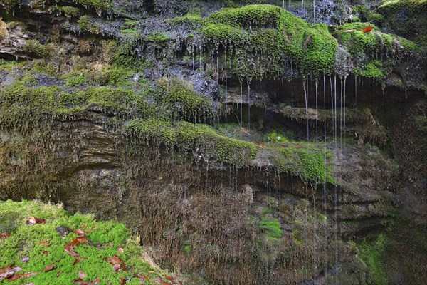 Waterfall on the Grossen Arbersee lake