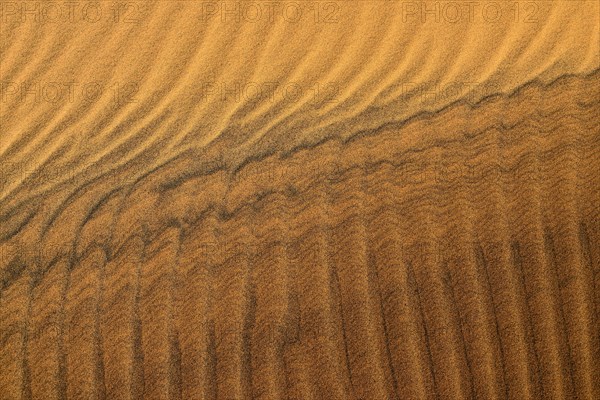 Sand ripples