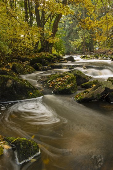 Brook in autumn