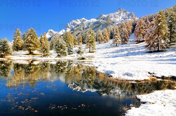 Lake Schwarzsee or Lai Nair with snow-covered larch forest