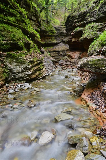 Stream of the Taugl river