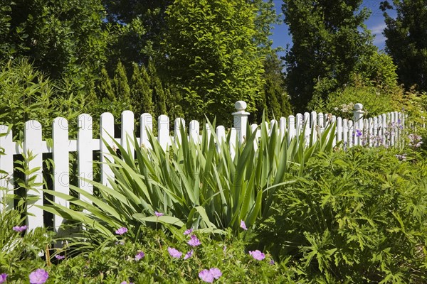 White wooden picket fence in front of a flower bed in a landscaped residential front yard garden