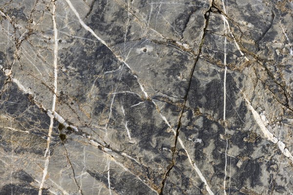 Quartz veins in rock