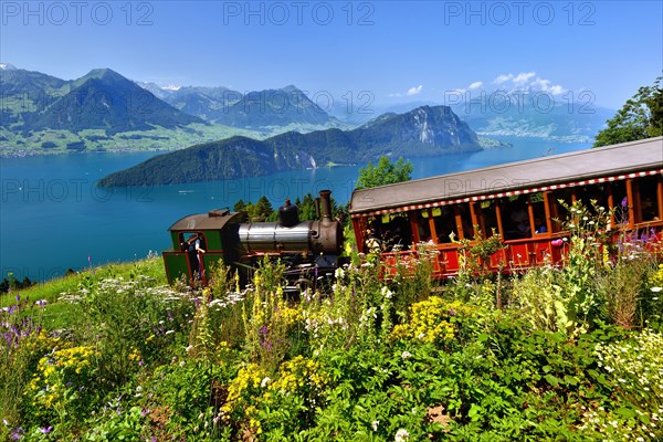 steam railway climbing Mount Rigi