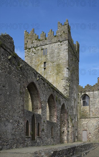 Ruins of Tintern Abbey