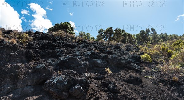 Rocky slope