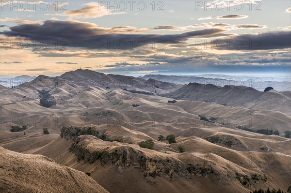 Te Mata Peak