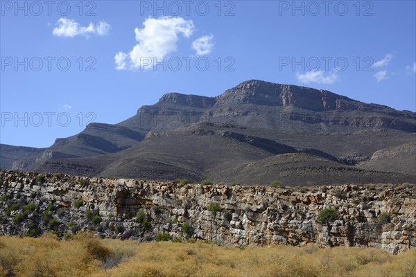 In the Cederberg mountains