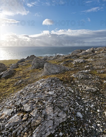 View seen from Alkhornet mountain