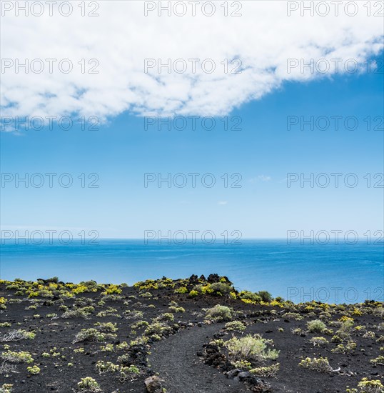 Hiking trail through a lava landscape