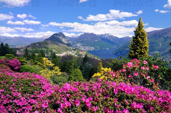 View from Parco San Grato to the village of Carona