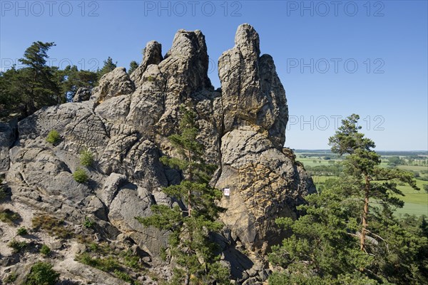 Hamburger Wappen' sandstone formations