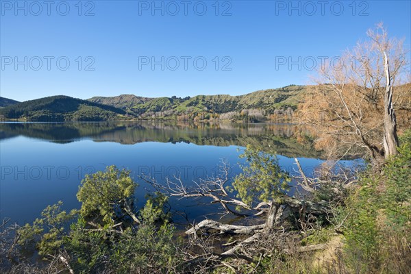 Lake Horowhenua