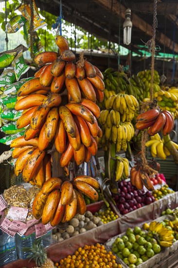 Fruit stand