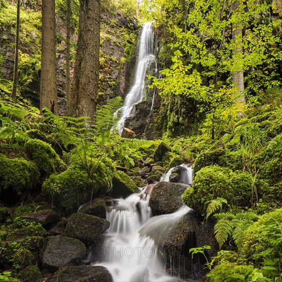 Waterfall in the forest