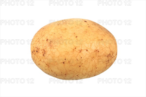 Potato