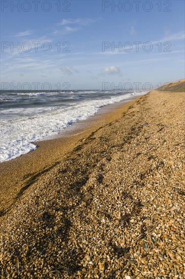 Sea coast