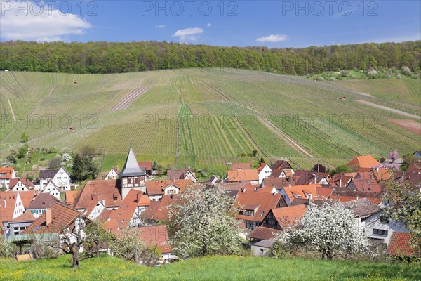 Quarter of Strumpfelbach