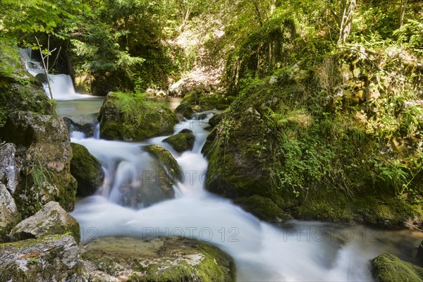 Brook of Myra Falls