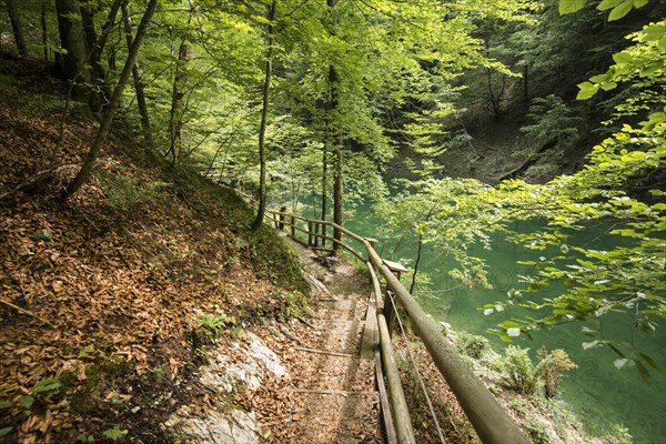 Hiking trail in Mendlingtal valley
