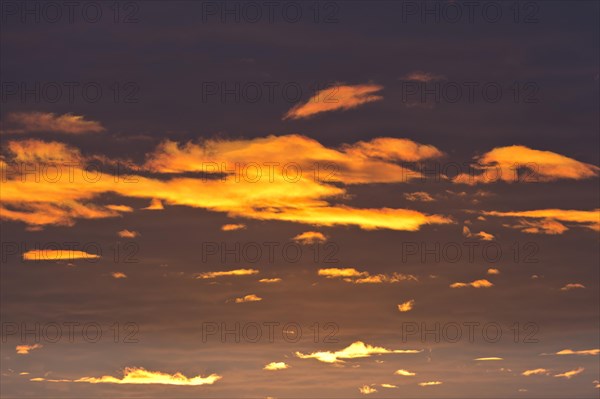 Clouds in the evening light