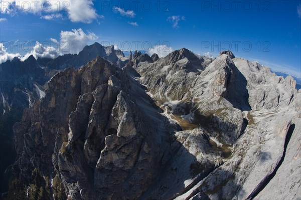 Rosengarten Group