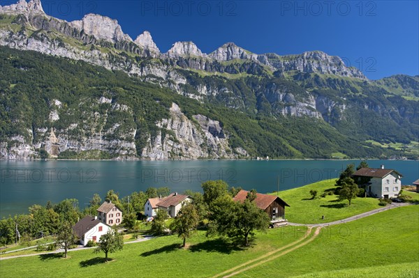 Settlement on Lake Walen in front of the Churfirsten range near Mols